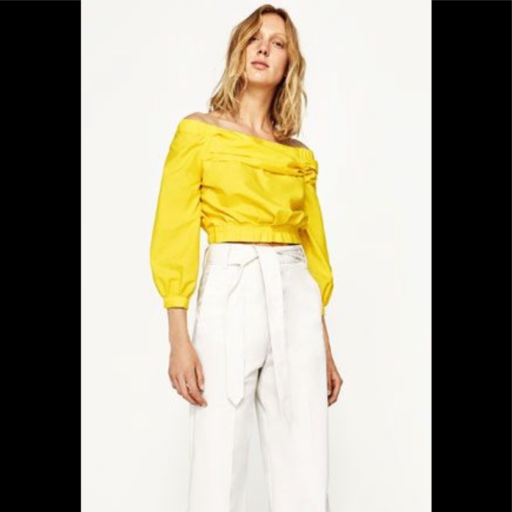 Zara Wide leg pants.